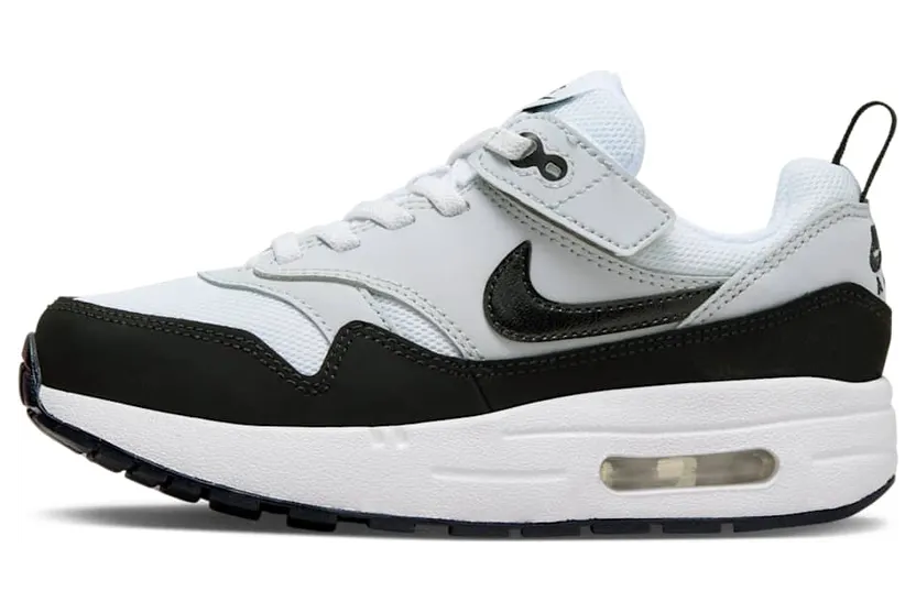 Nike Air Max 1 DZ3308-106
