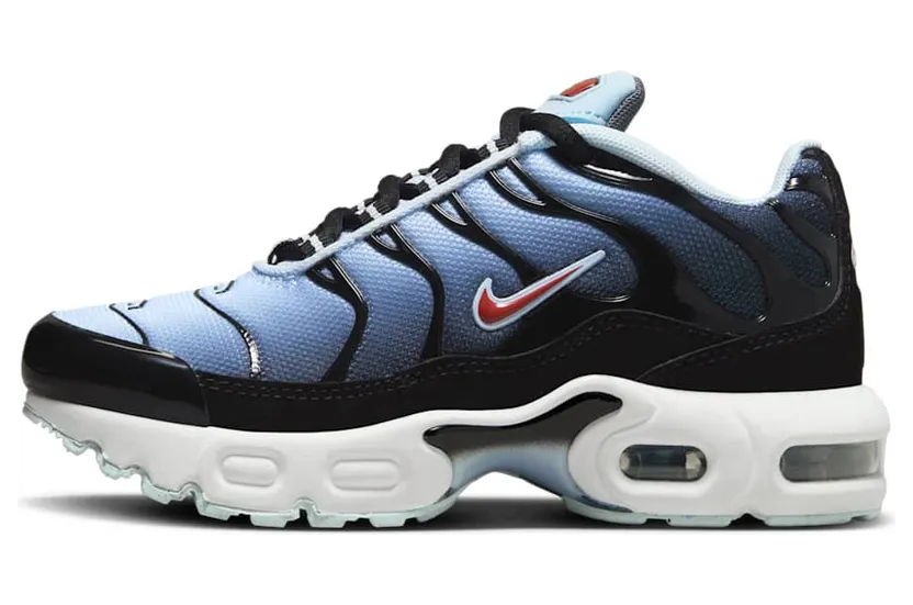 Nike Air Max Plus CD0610-023