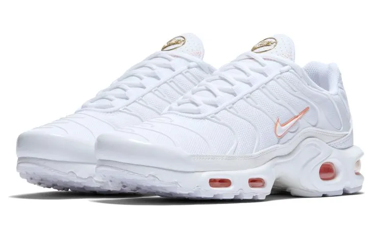 nike-air-max DC1428-100