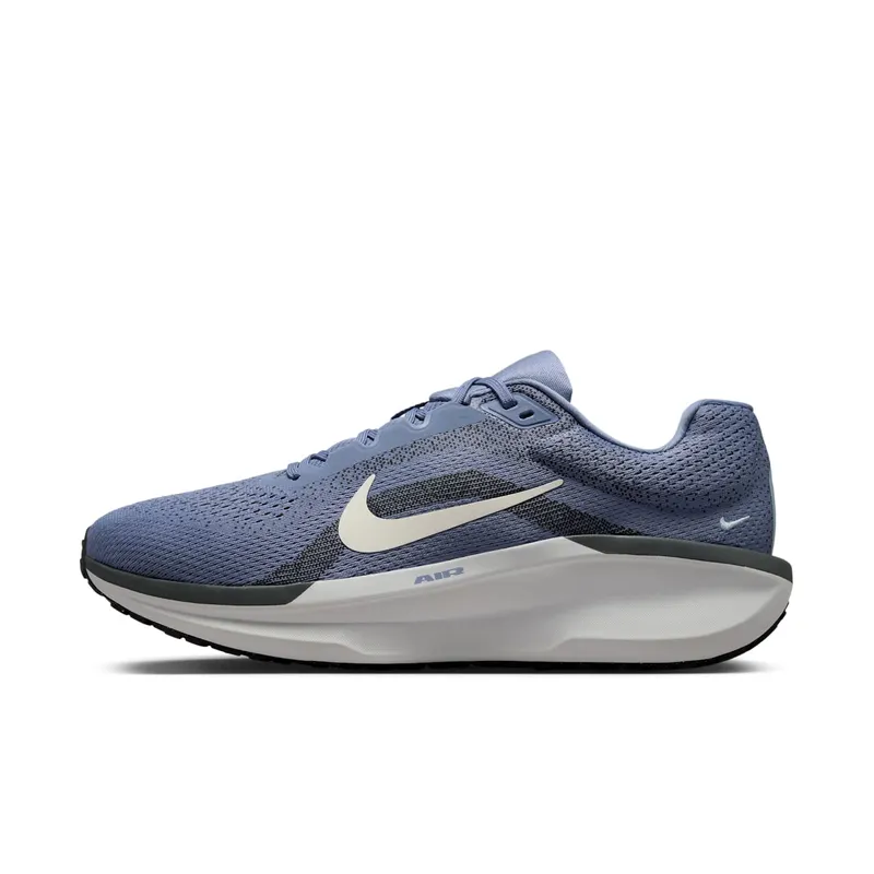 Nike Winflo 11 World Indigo Light Armory Blue (FJ9509-405)