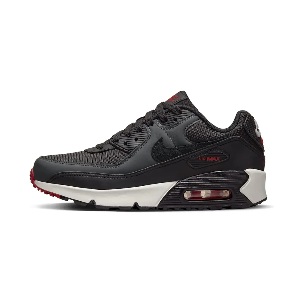 Nike Air Max 90 LTR Grau (CD6864-022)
