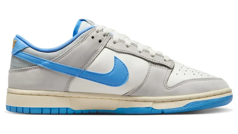 nike-dunk FN7488-133