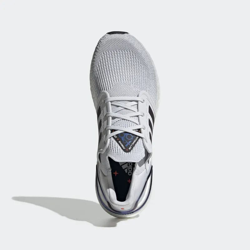 adidas Ultra Boost 2020 ISS US National Lab Dash Grey Blue Violet Dash Grey/Blue Violet Metallic/Core Black (EG0695)