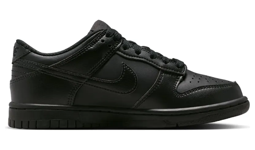 nike-dunk IU7766-009