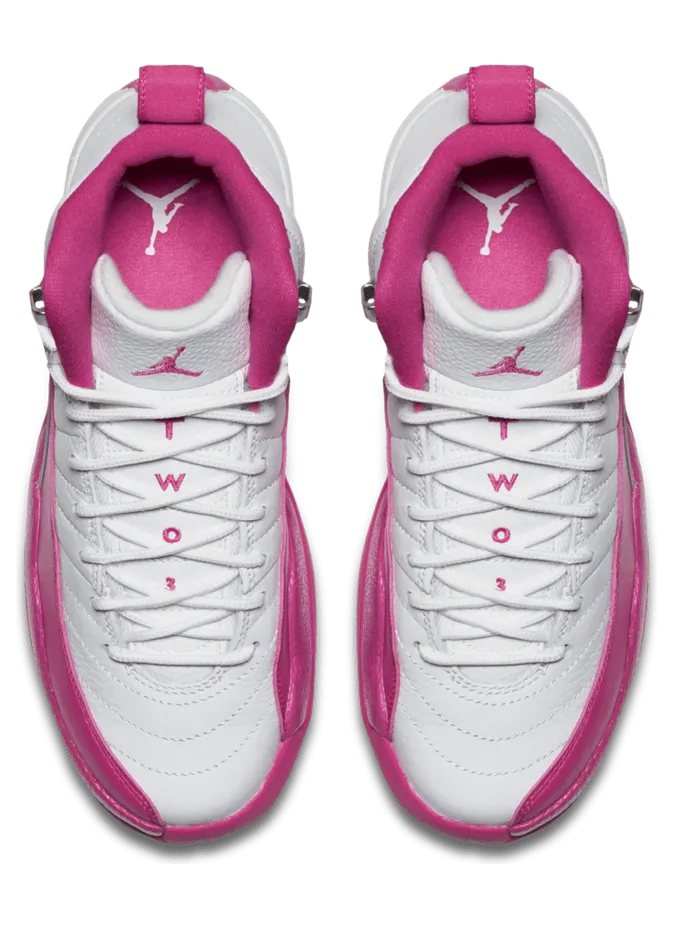 air-jordan-12 510815-109