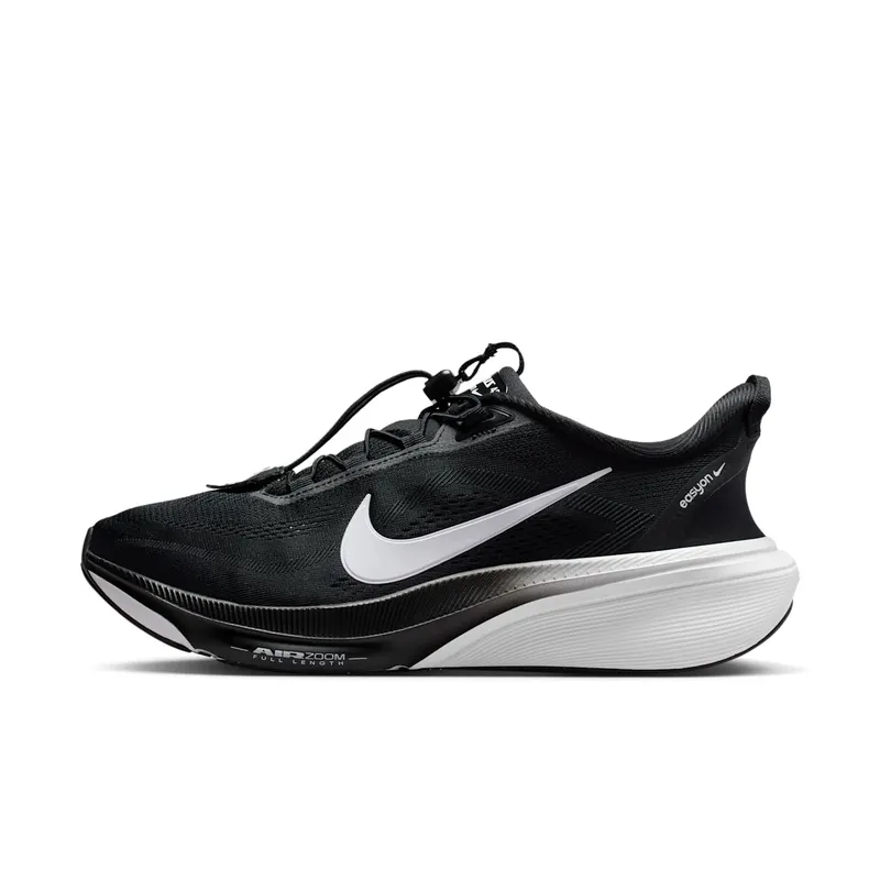 Nike Pegasus Black/Dark Smoke Grey/White (IM4110-001)