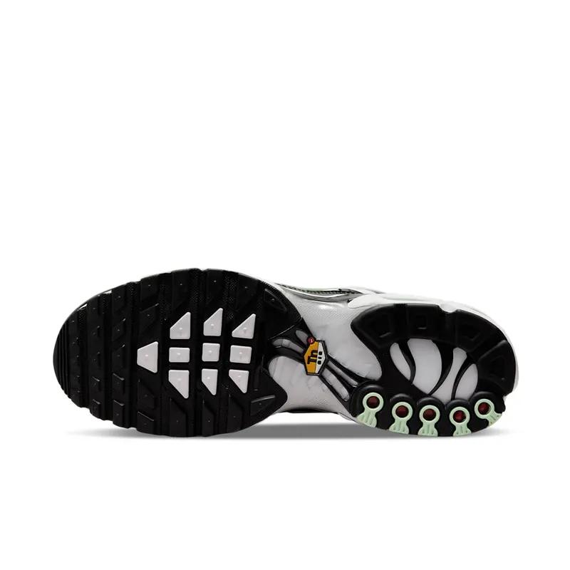 Nike TN Air Max Plus Seafoam Grey Black (DH4776-100)