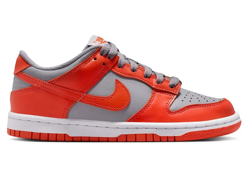 Nike Dunk Low Cement Grey Team Orange (FB9109-011)