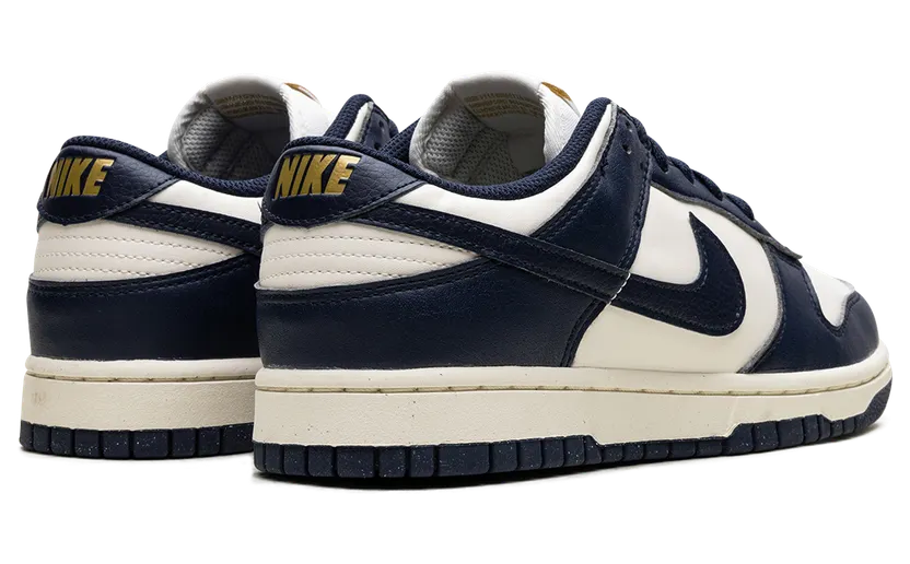 nike-dunk FZ6770-001
