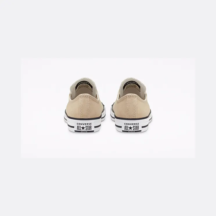 converse-chuck-taylor-all-star 167646C