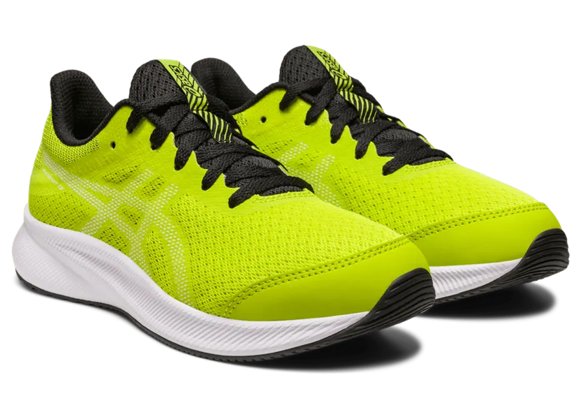asics-patriot 1014A267.300