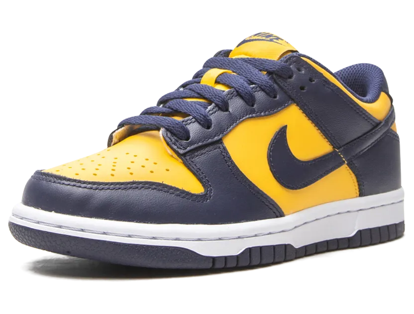 nike-dunk CW1590-700