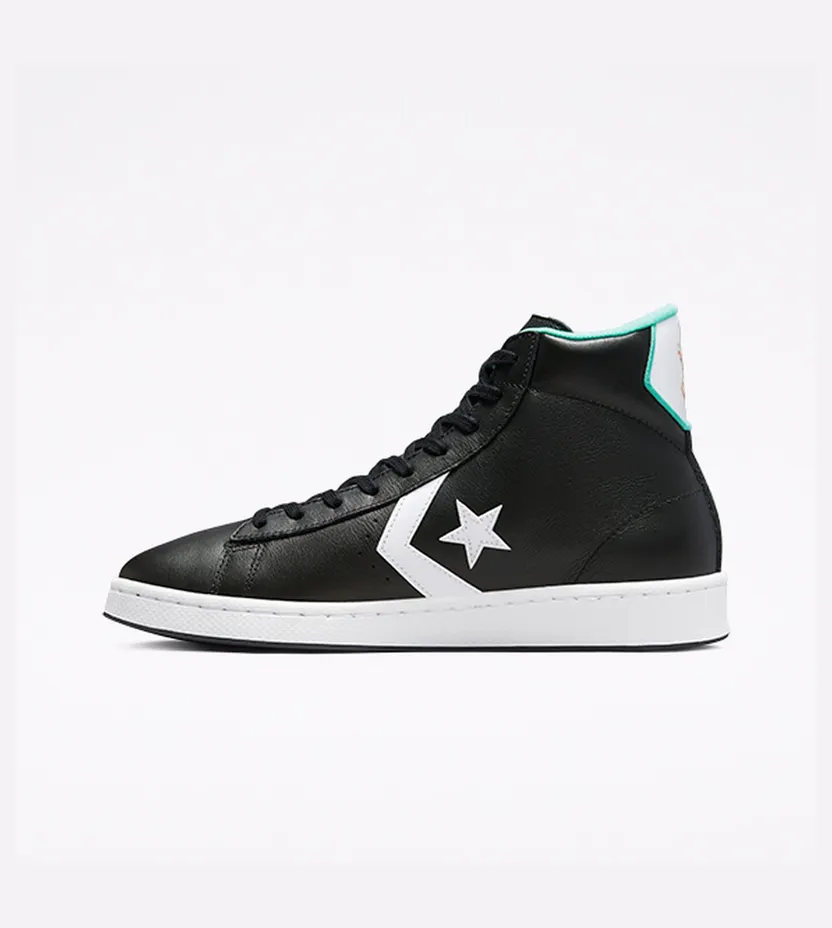 converse-pro-leather 171313C