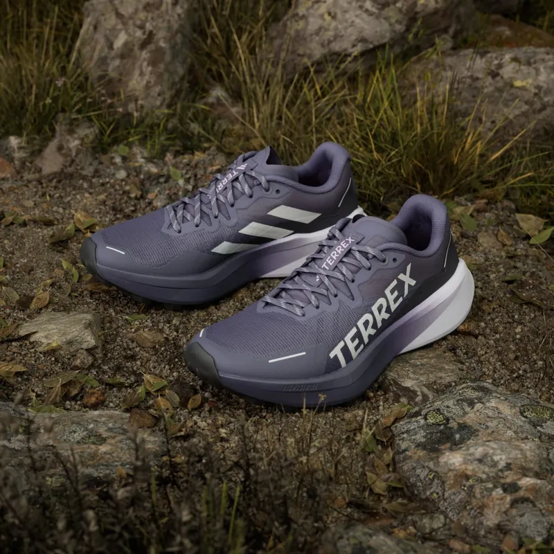 Adidas Terrex Agravic 3 Trail Running Preloved Violet / Grey One / Powder Plum (JR5251)