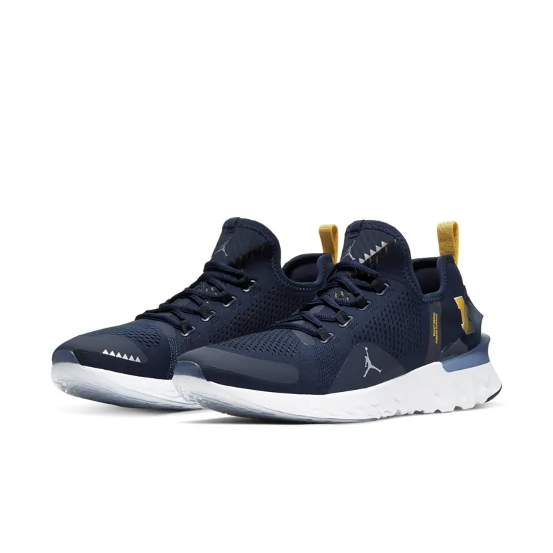 Jordan React Havoc Michigan College Navy/Metallic Silver-White-Amarillo (CJ6748-407)