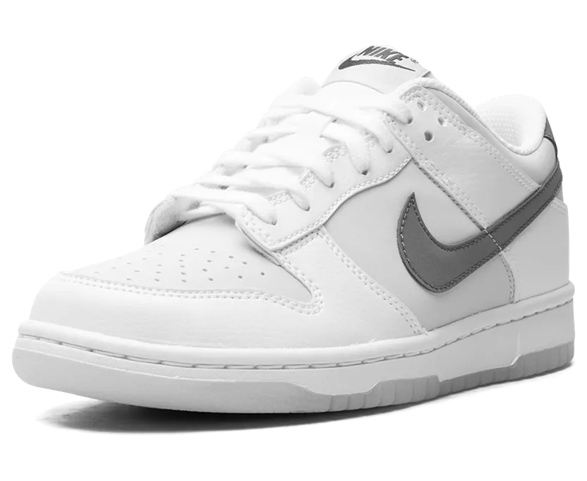 nike-dunk FV0365-100
