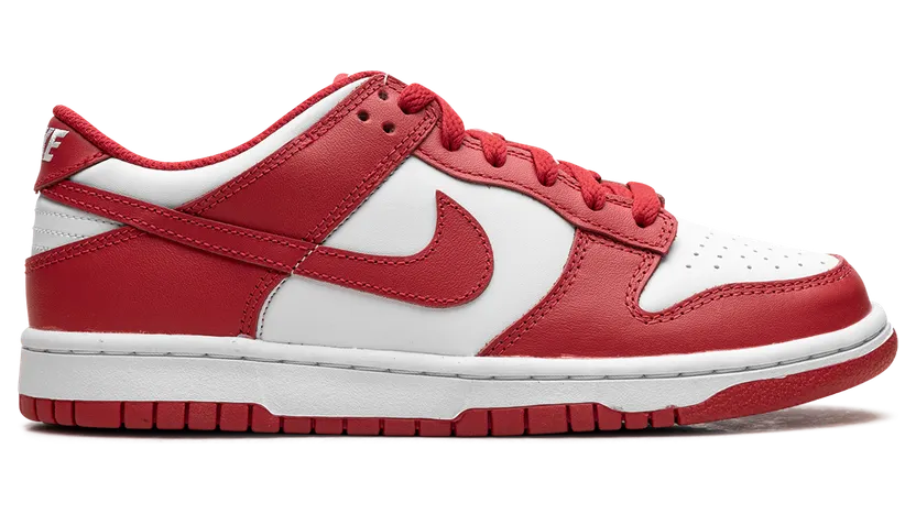 nike-dunk FB9109-119