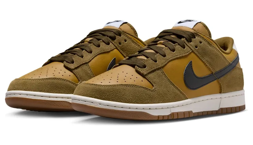 nike-dunk IB6399-300