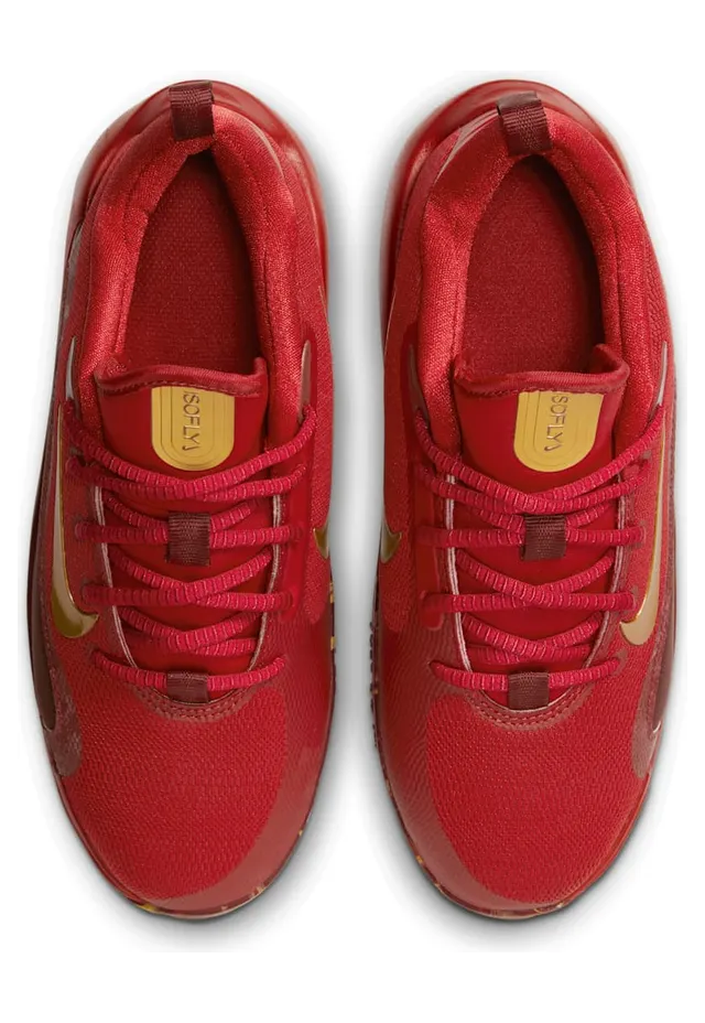 nike-isofly FZ7298-600