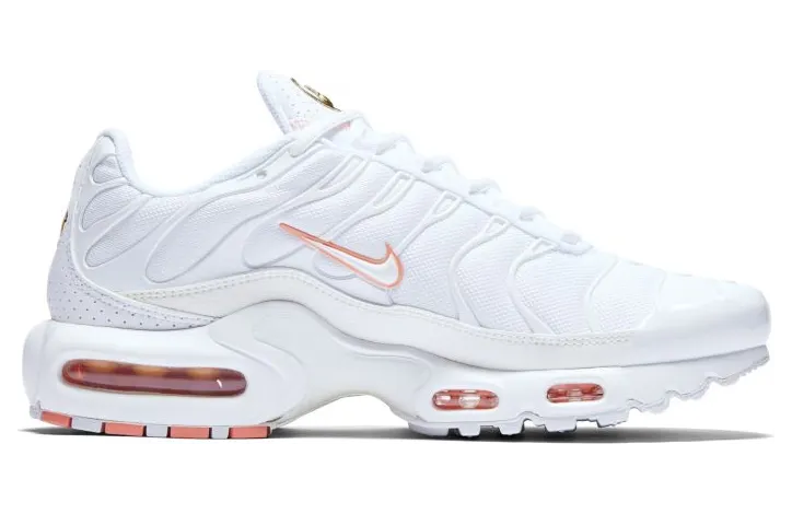 nike-air-max DC1428-100