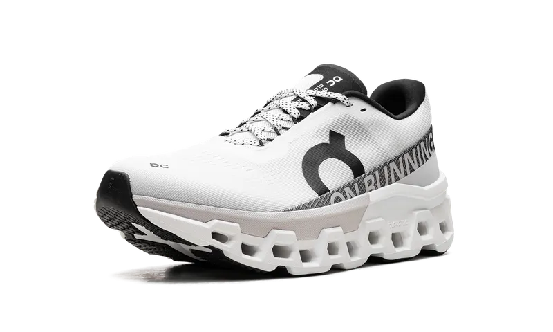 On Running Cloudmonster 2 White Frost (3ME10120664)
