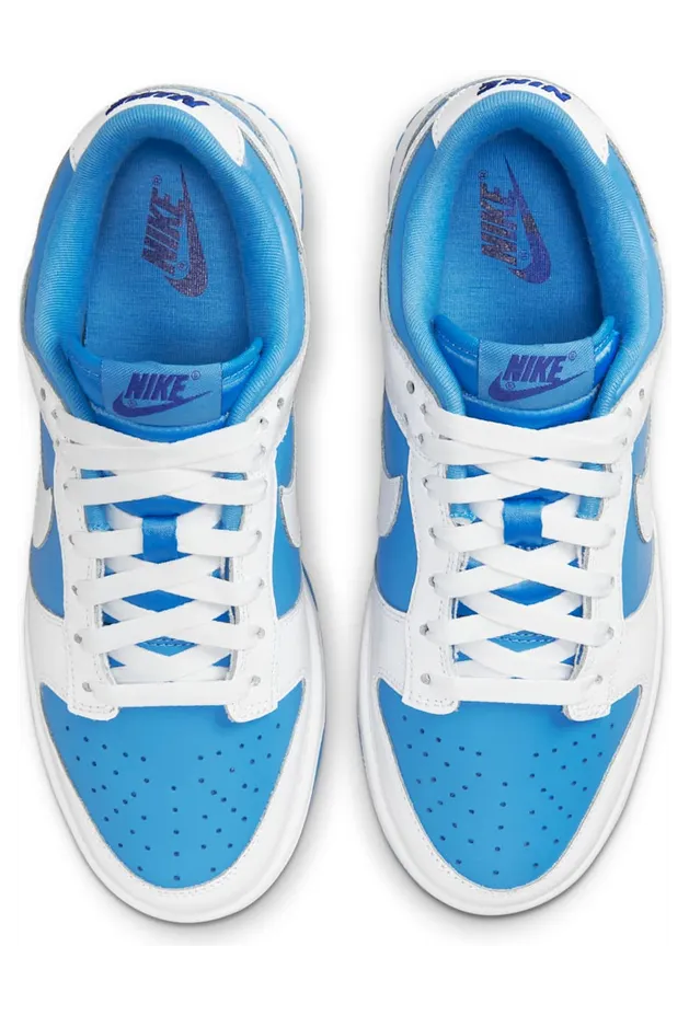 nike-dunk DJ9955-101