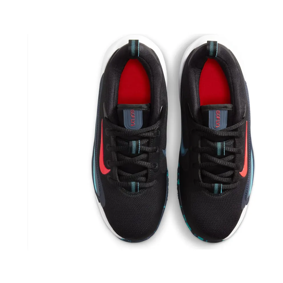 Nike IsoFly Black Dusty Cactus Thunder Blue Bright Crimson (FN4384-004)