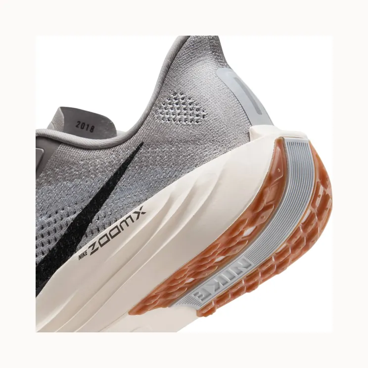 nike-air-pegasus FQ7262-010