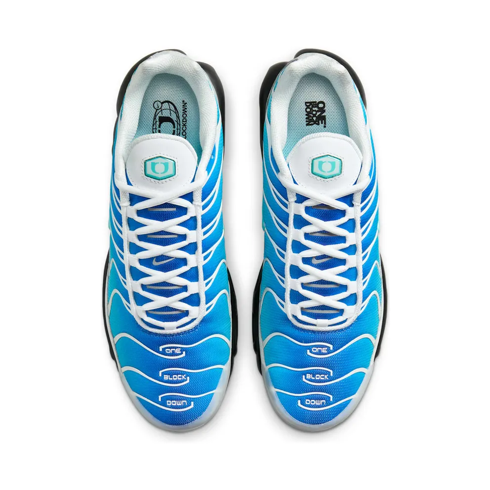 Nike Air Max Plus One Block Down Light Photo Blue (FZ3308-400)
