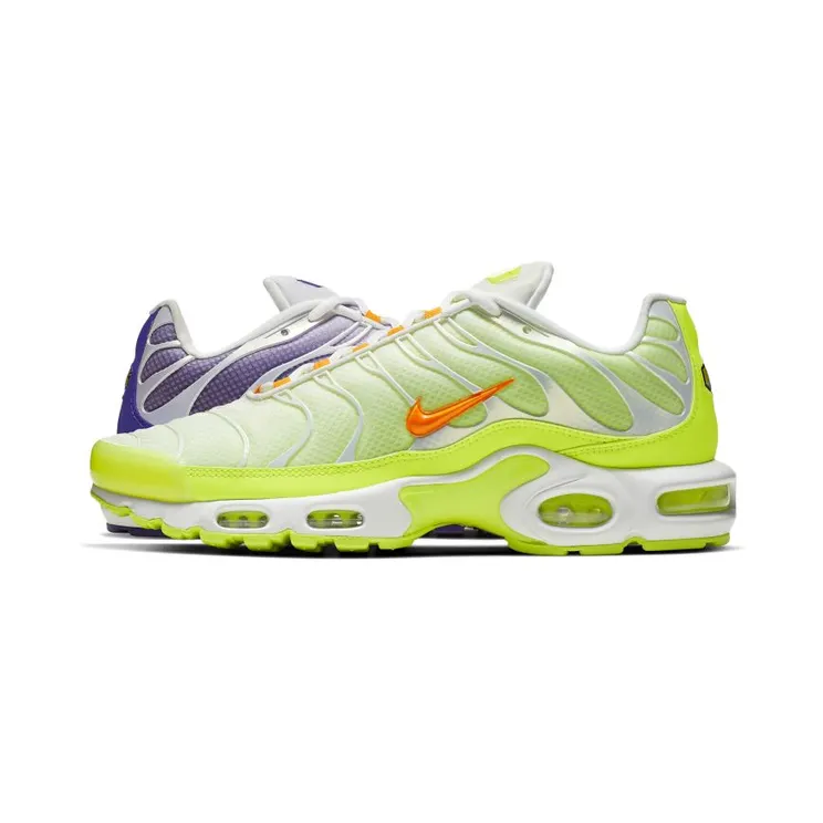Nike Air Max Plus Color Flip (CI5924-531)