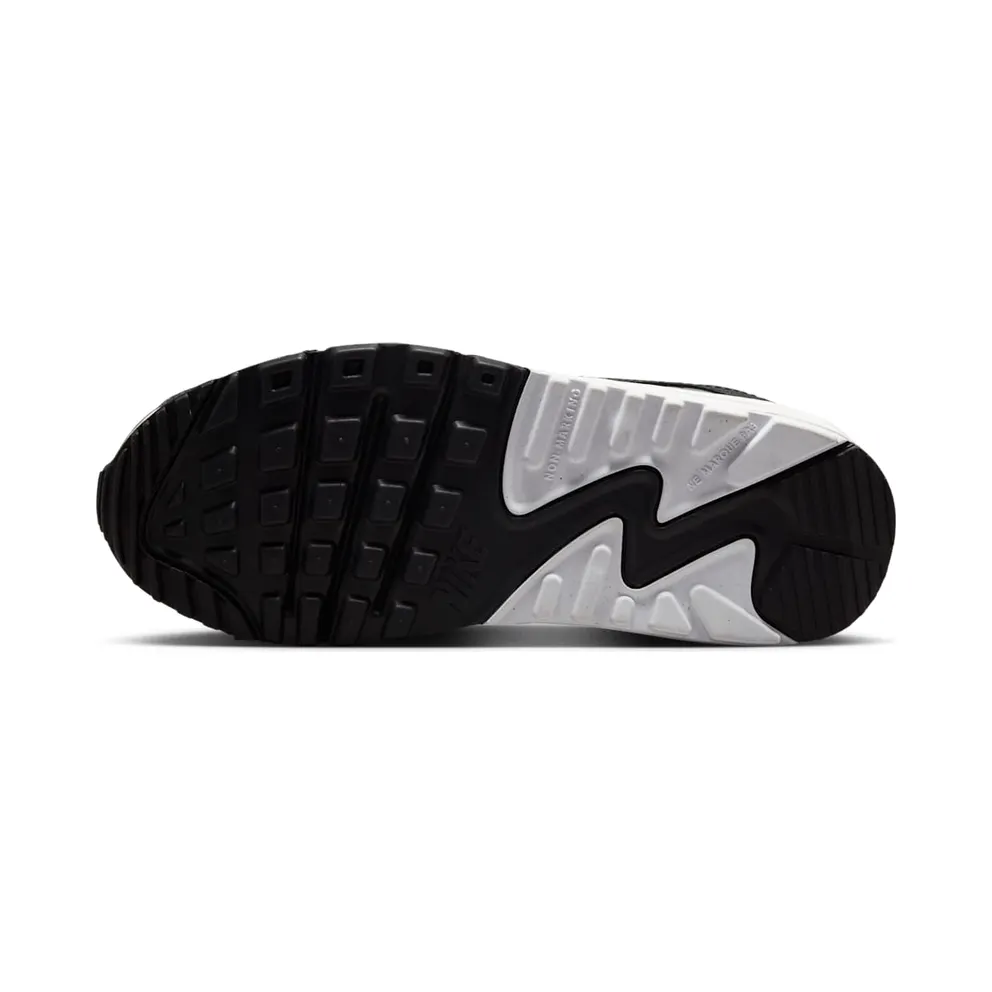 Nike Air Max 90 GS “Wolf Gray / White” (HF6358-007)