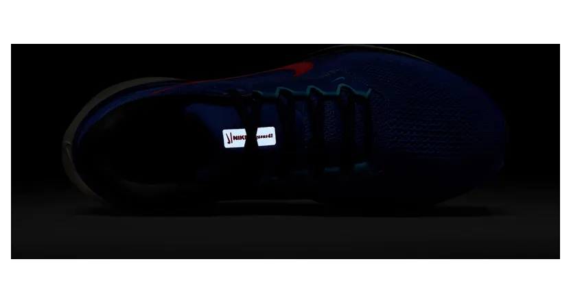 nike-air-pegasus FN4932-401