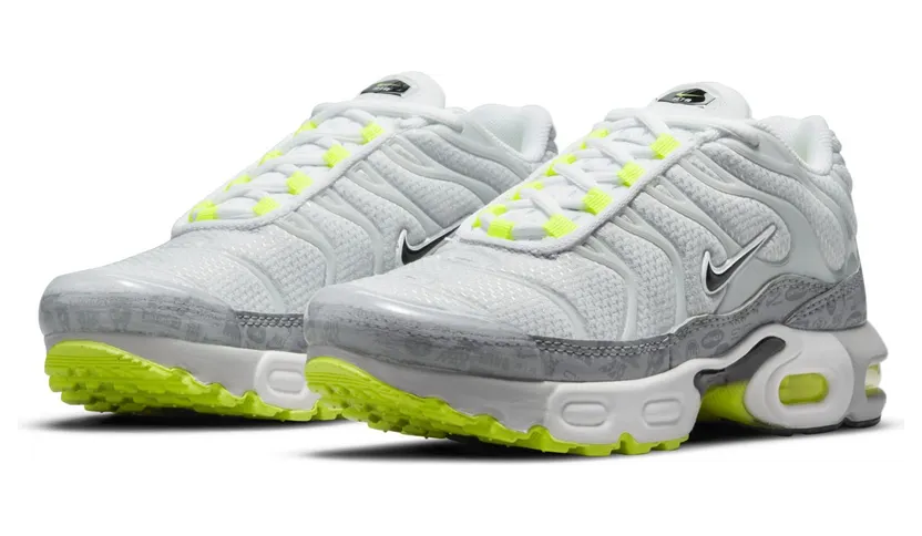 Nike Air Max Plus Grijs (CD0610-015)