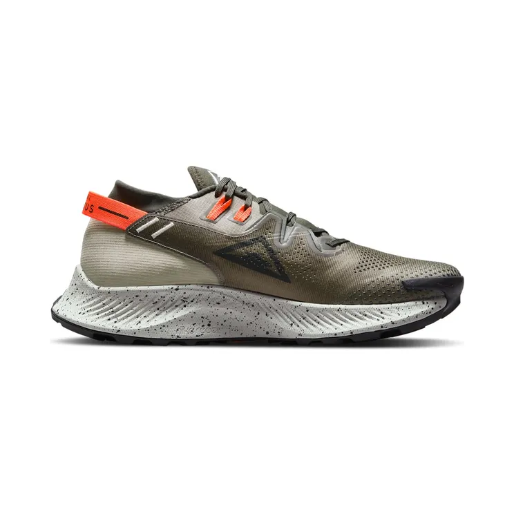 nike-air-pegasus CK4305-301