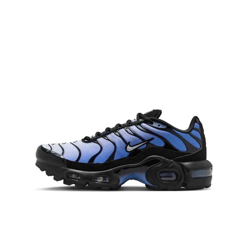 Nike Air Max Plus Black (CD0609-045)
