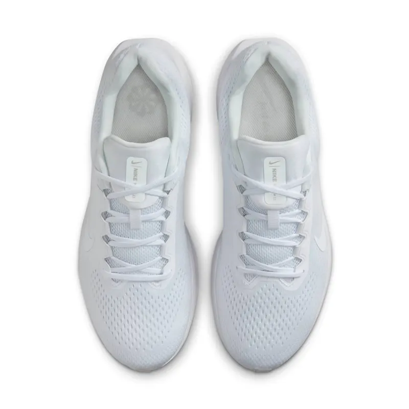 Nike Winflo 11 White Photon Dust White (FJ9509-100)