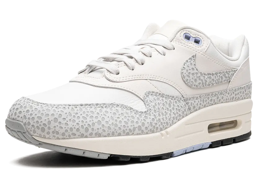 nike-air-max FB5059-100