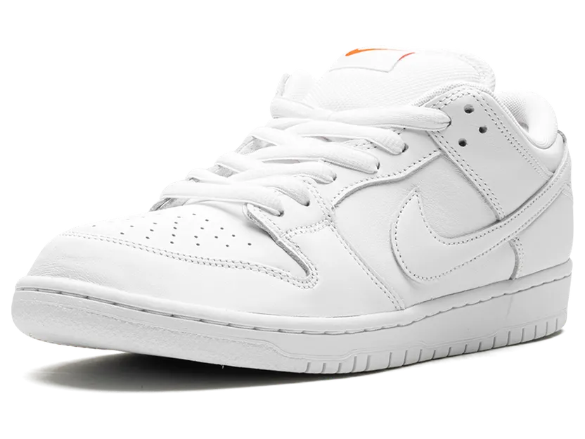 nike-dunk-sb FJ1674-100