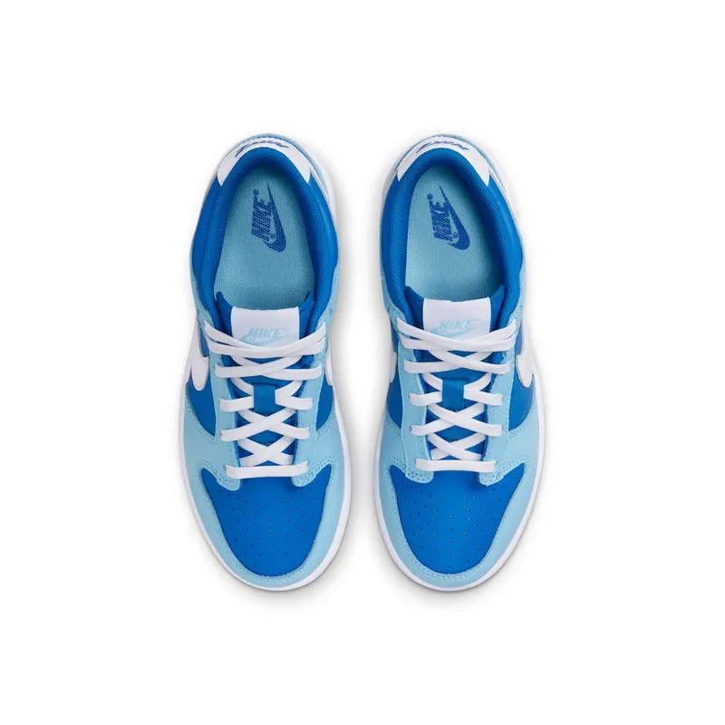Nike Dunk Low Argon (2022) (DV2635-400)