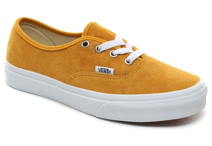 vans-authentic VN0A2Z5IV77
