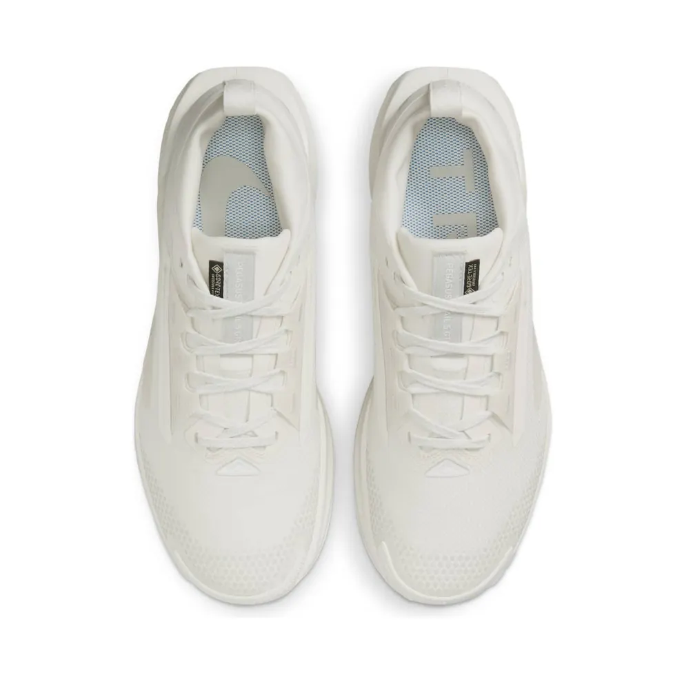 Women's Shoes Nike Pegasus 5 Gore-tex FQ0912-102