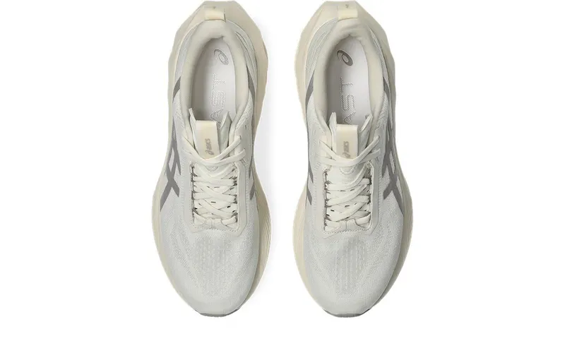 ASICS Novablast 4 Le Birch Moonrock (1011B887-200)