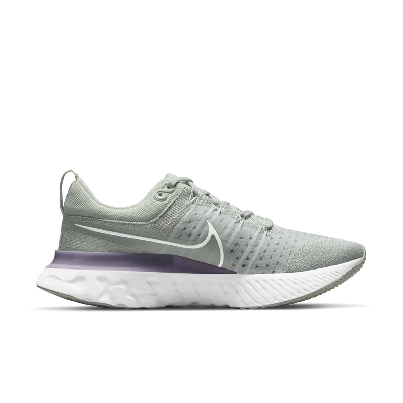 Nike React Infinity Run Flyknit 2 Grey (CT2423-005)