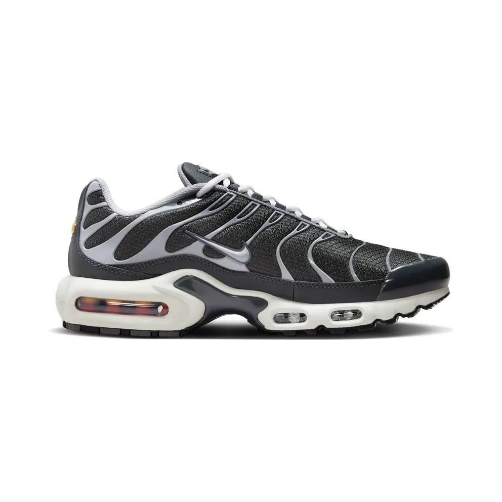 Nike Air Max Plus Greyscale Cool Grey (DZ2655-001)