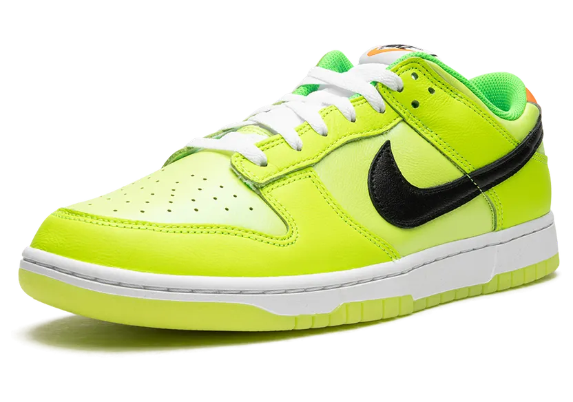 nike-dunk FJ4610-702