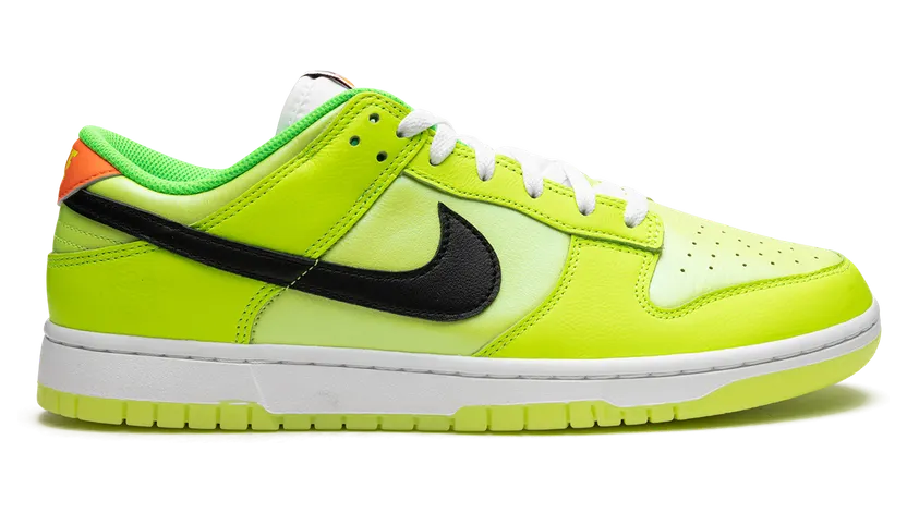 nike-dunk FJ4610-702