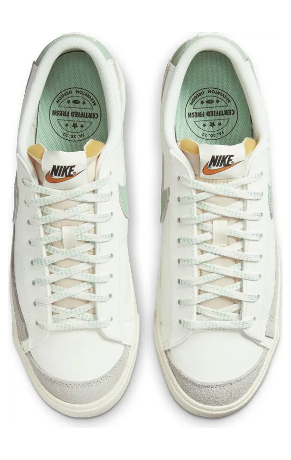 nike-blazer DO9799-100