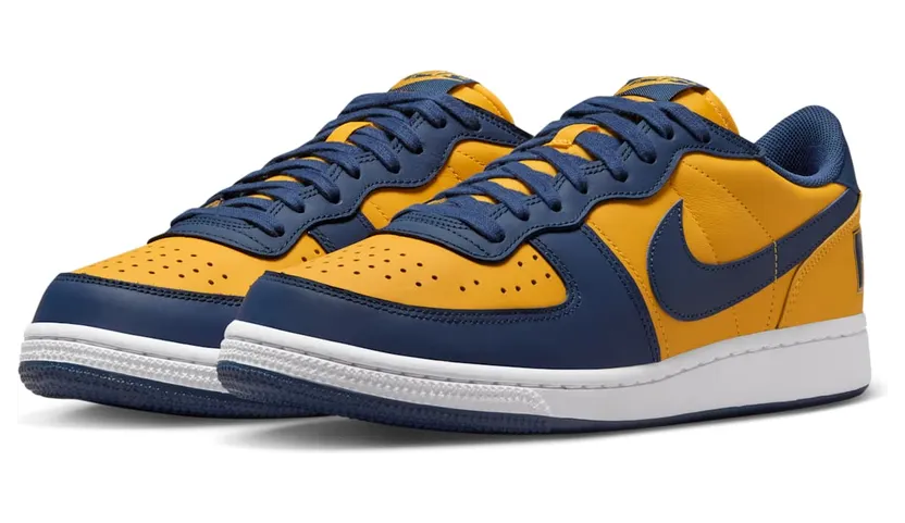 nike-terminator FJ4206-700