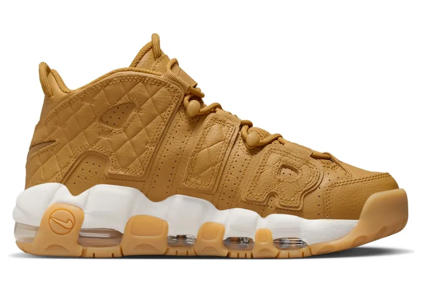 nike-air-more-uptempo DX3375-700