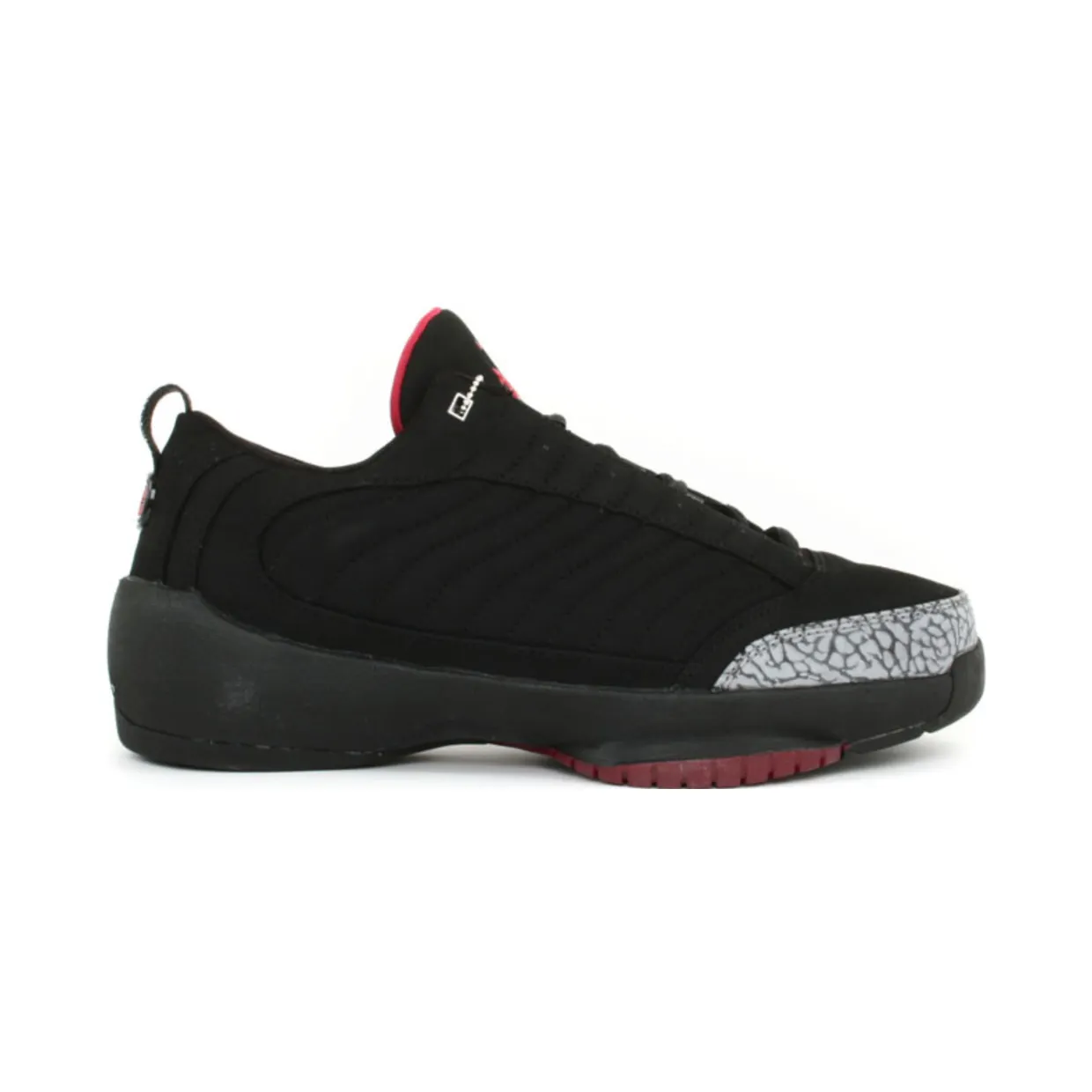air-jordan-19 308513-001